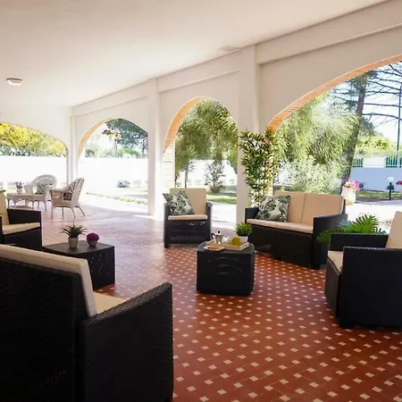 Apartment Aurelia -seafront With Patio *