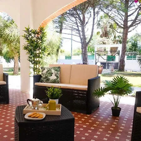 Aurelia -seafront With Patio Apartment *