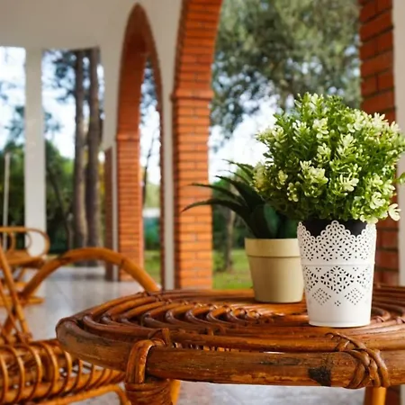 Apartment Aurelia -seafront With Patio Flumini di Quartu